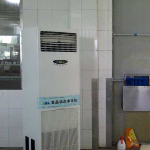 昌江食品智能空气杀菌器